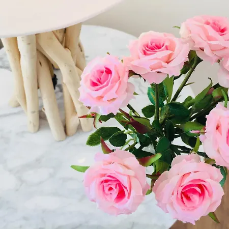 Bed and Breakfast Flowers Sweet Vasto